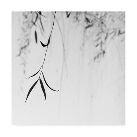 Nicholas Bell 'Willow Print No. 1' Canvas Art,18x18